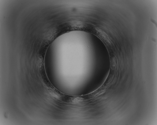 X0000091890463200709121443