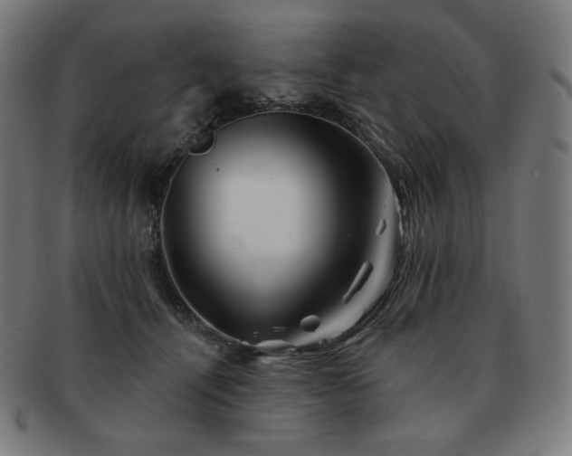 X0000091890464200709121443
