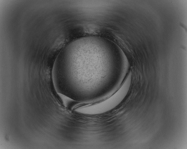 X0000091890466200709121443
