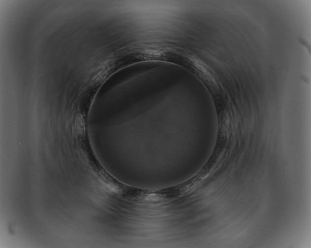 X0000091890467200709121443
