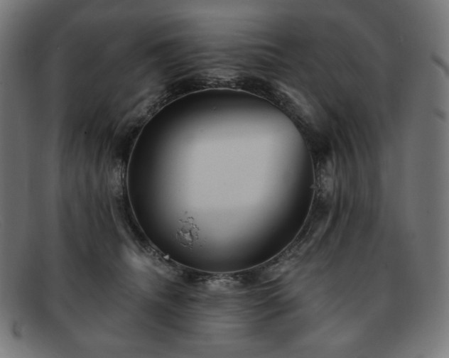 X0000091890468200709121443