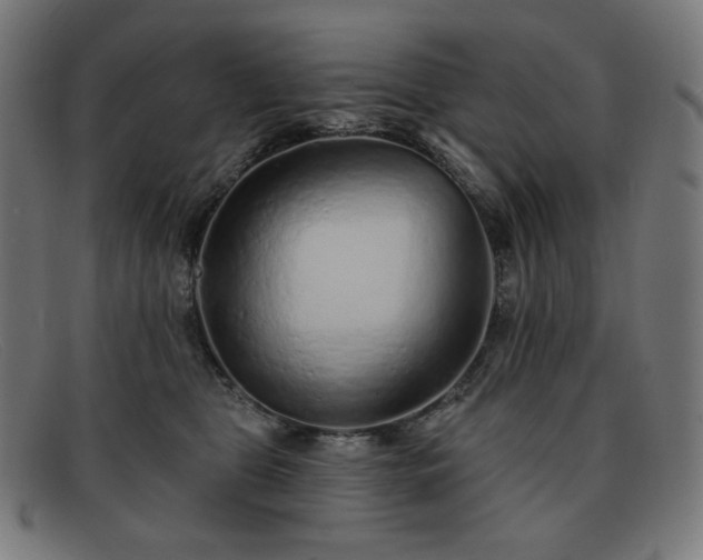 X0000091890469200709121443