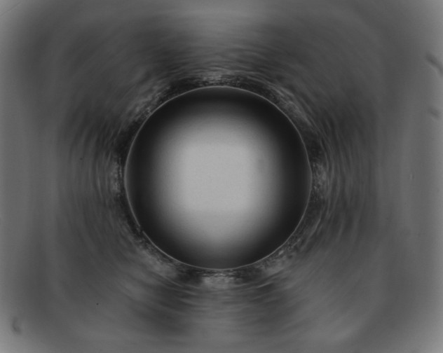 X0000091890470200709121443