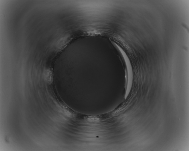X0000091890471200709121443