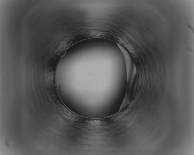 X0000091890473200709121443