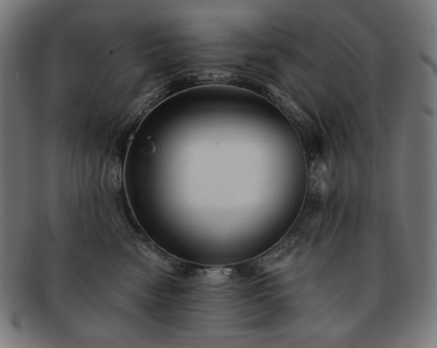 X0000091890474200709121443