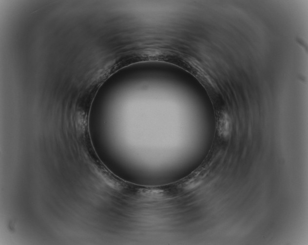 X0000091890476200709121443
