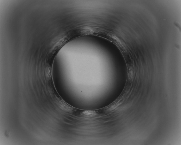 X0000091890477200709121443