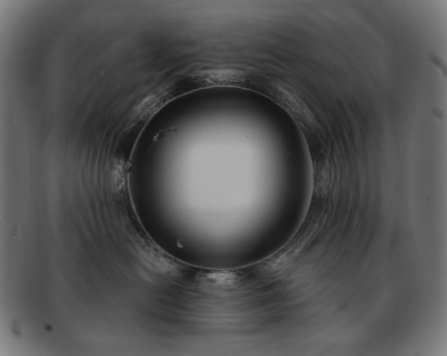 X0000091890478200709121443