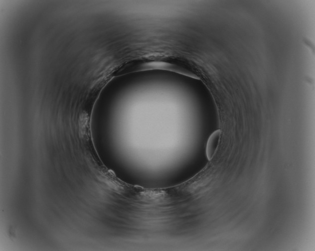 X0000091890480200709121443