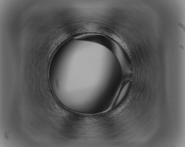 X0000091890481200709121443