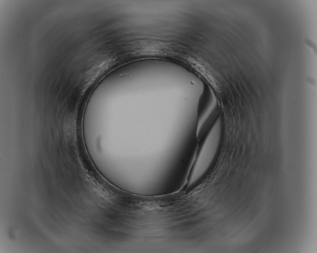 X0000091890482200709121443