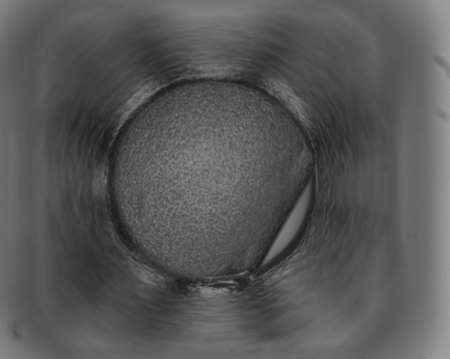 X0000091890483200709121443