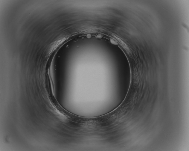 X0000091890485200709121443