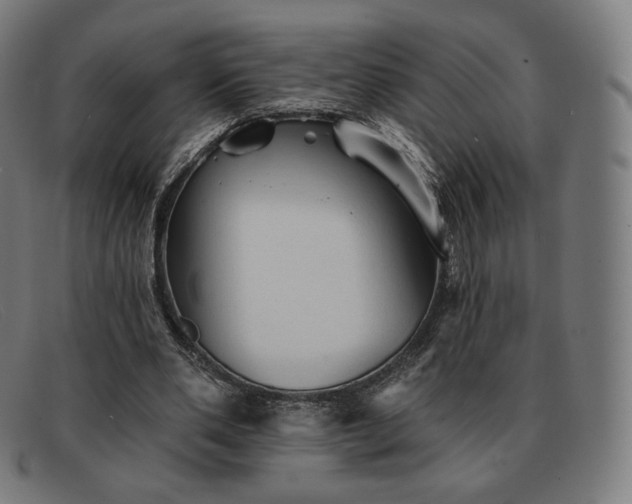 X0000091890486200709121443