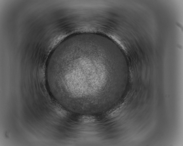 X0000091890487200709121443