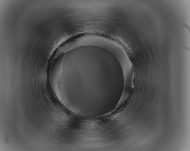 X0000091890488200709121443