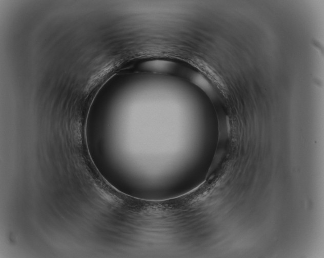 X0000091890489200709121443