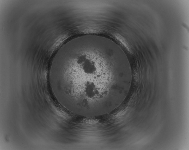 X0000091890491200709121443
