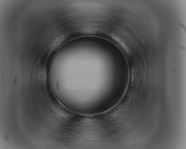 X0000091890494200709121443