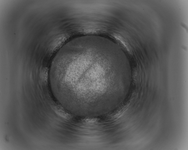 X0000091890495200709121443