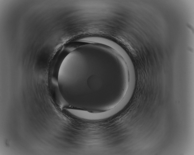 X0000091890496200709121443