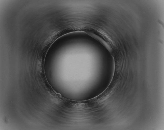 X0000091890497200709121442