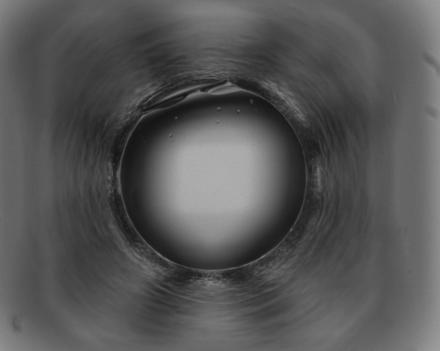 X0000091890498200709121442