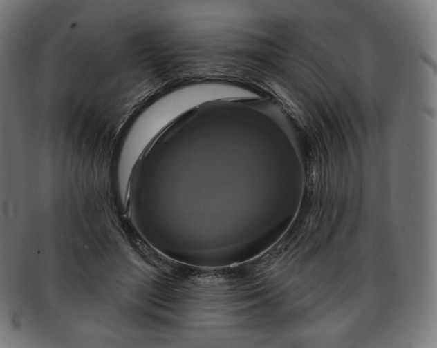 X0000091890500200709121442