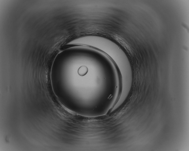 X0000091890501200709121442