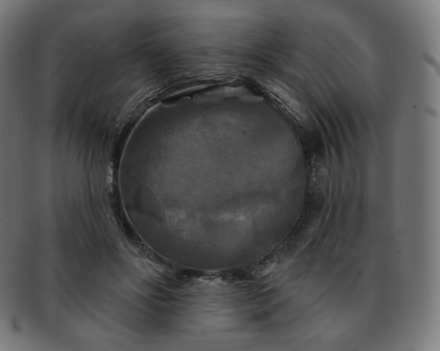 X0000091890502200709121442