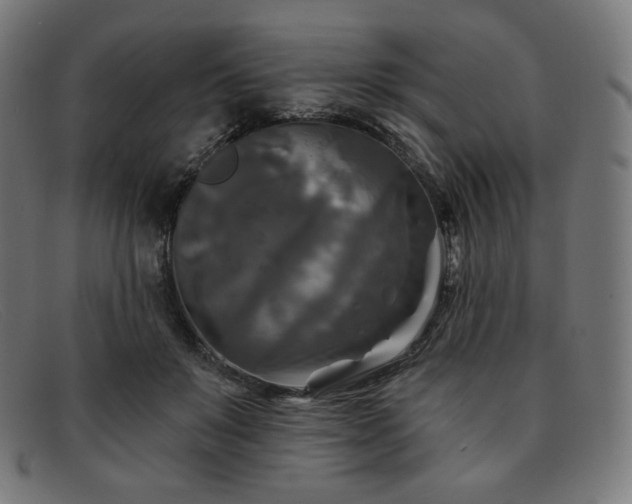 X0000091890503200709121442
