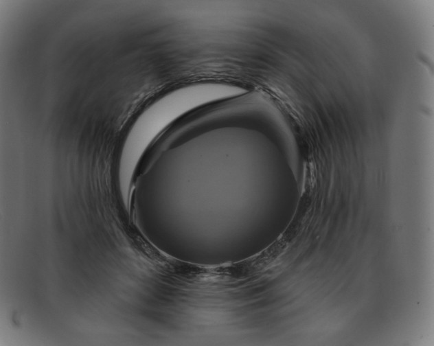 X0000091890504200709121442