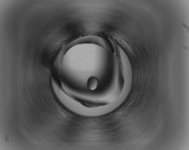 X0000091890505200709121442