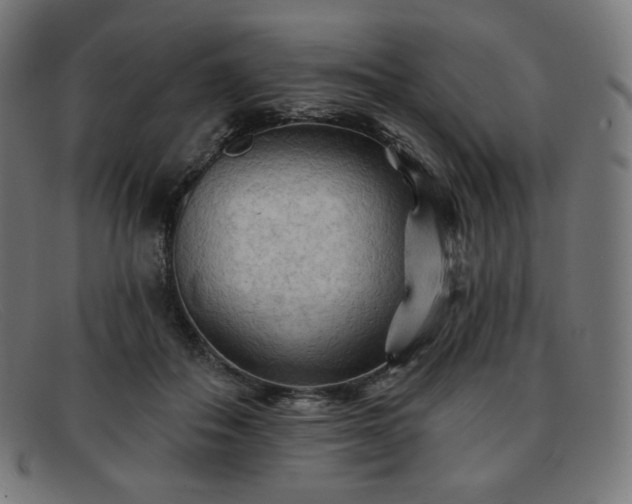 X0000091890506200709121442