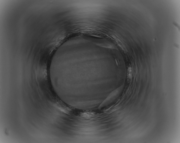 X0000091890508200709121442