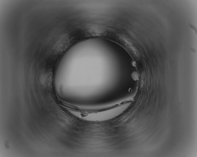 X0000091890509200709121442