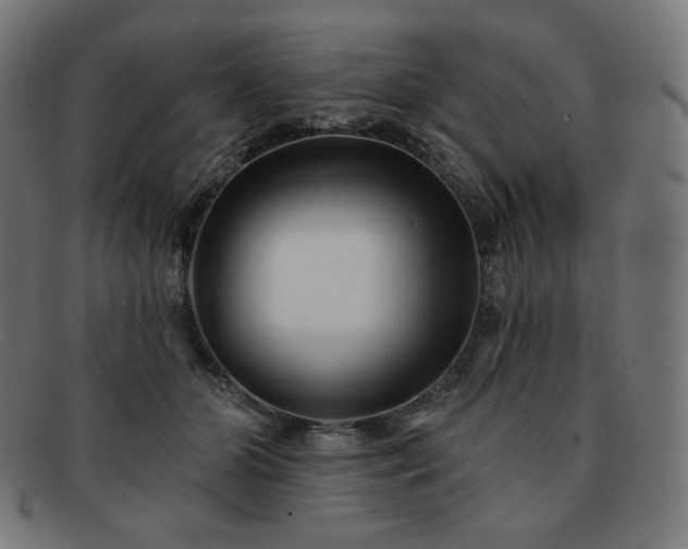X0000091890510200709121442