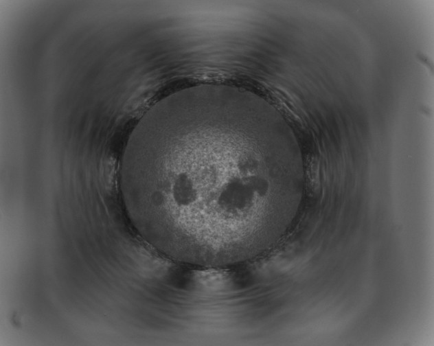X0000091890511200709121442