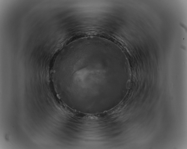 X0000091890512200709121442