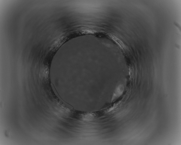 X0000091890513200709121442