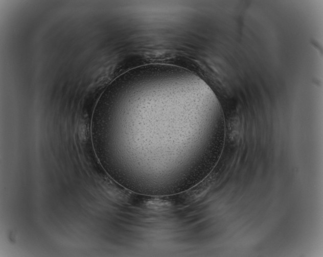 X0000091890515200709121442