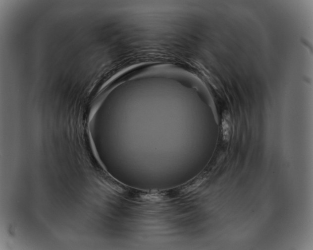 X0000091890516200709121442