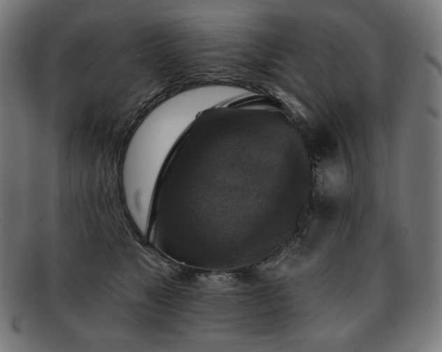 X0000091890517200709121442