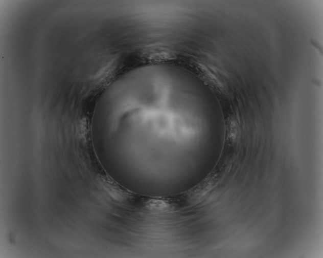 X0000091890519200709121442