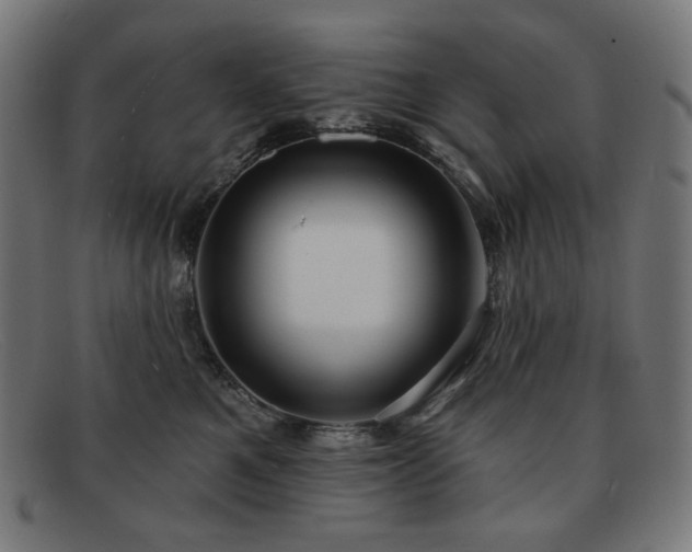 X0000091890521200709121442