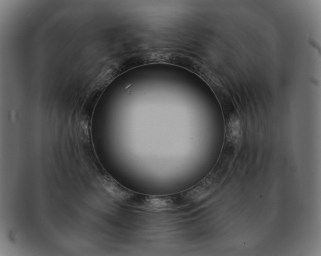 X0000091890522200709121442