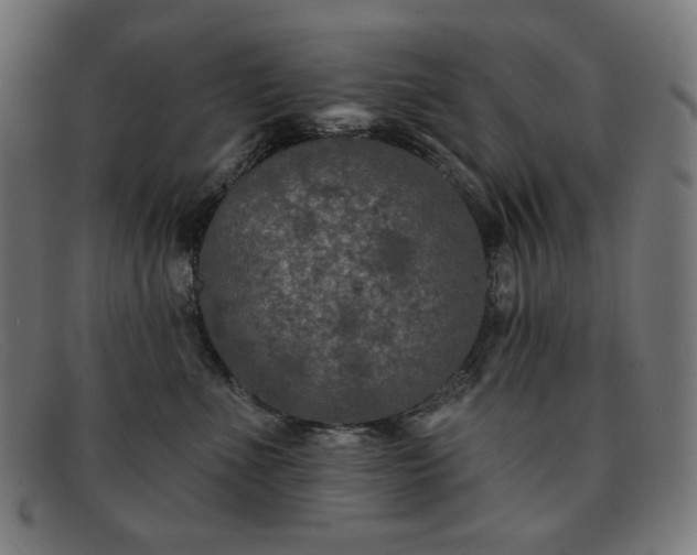 X0000091890523200709121442