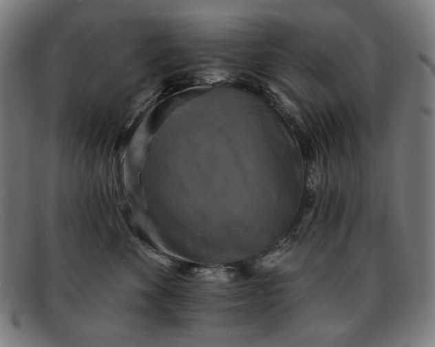 X0000091890524200709121442