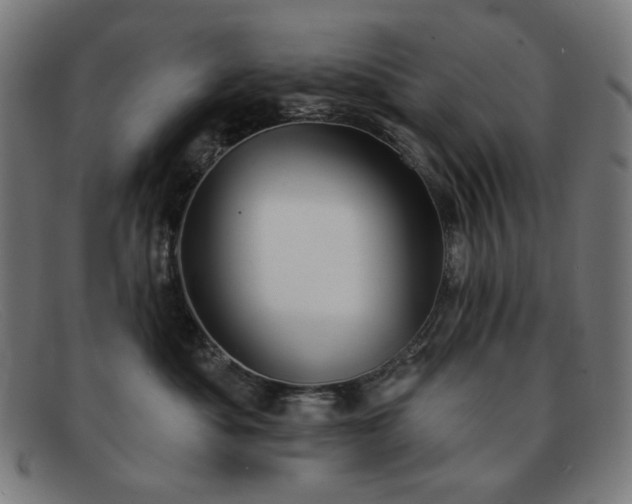 X0000091890525200709121442